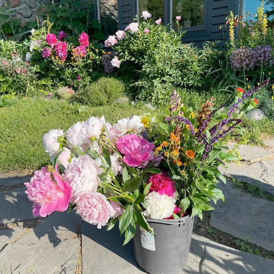 Bucket of peonies and other flowers